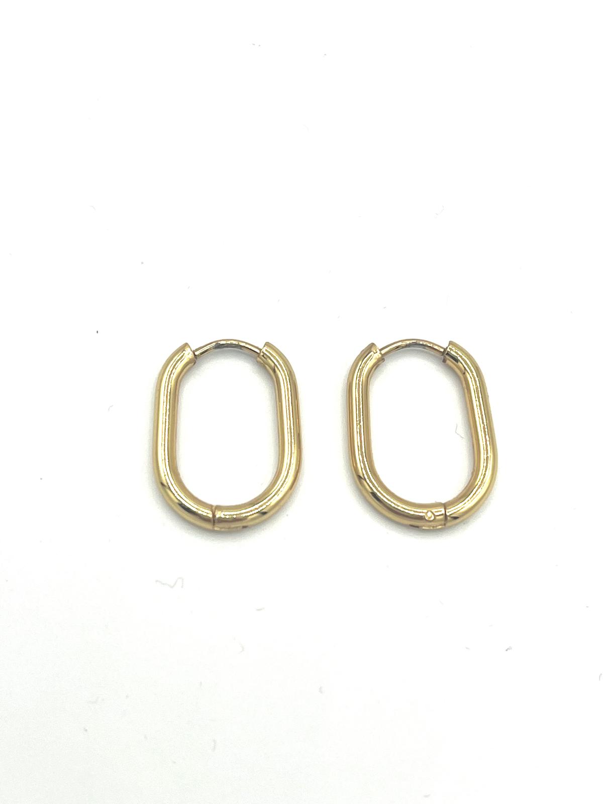 Goudkleurige ovalen oorbellen