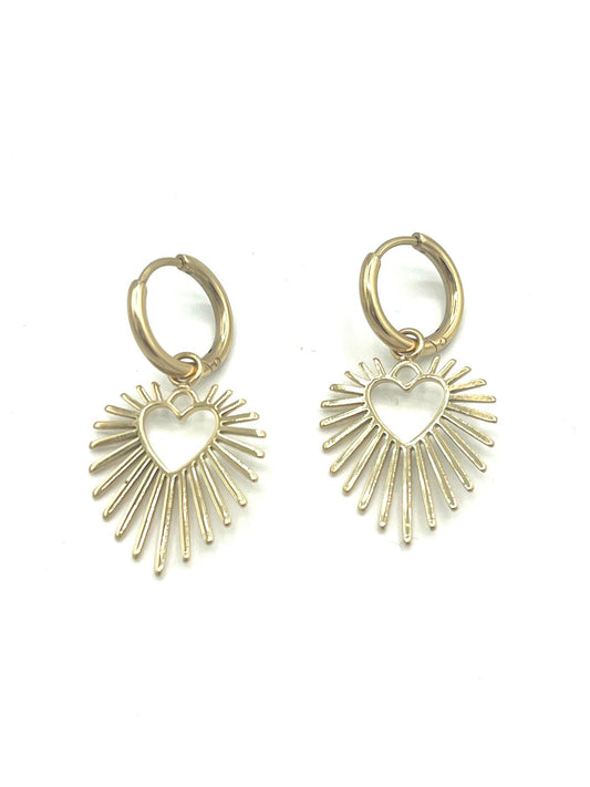 Oorbellen met schitterend hart