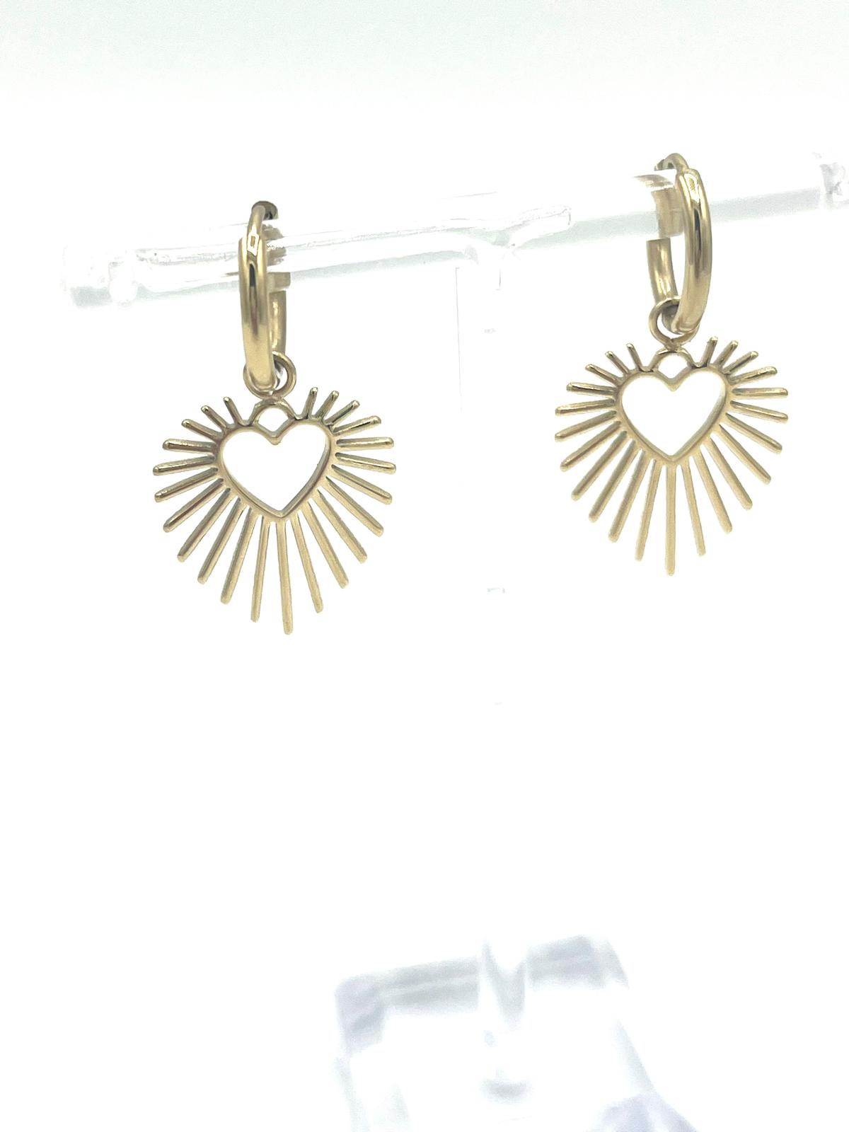 Oorbellen met schitterend hart