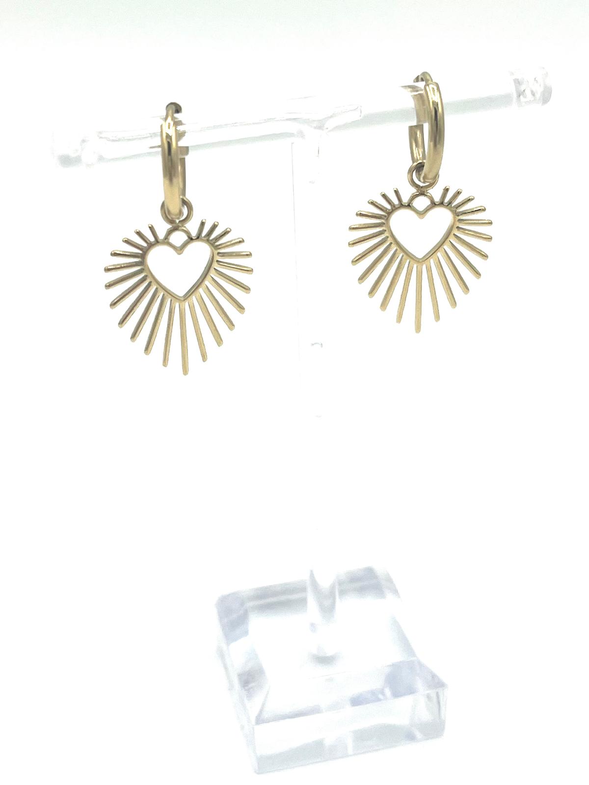 Oorbellen met schitterend hart