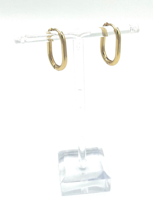 Goudkleurige ovalen oorbellen